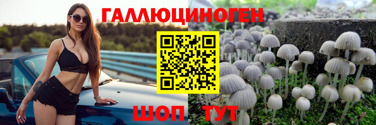 сколько стоит  Вход с VPN  Малоярославец  Псилоцибиновые грибы прущие грибы 